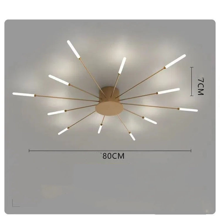 Ceiling Room Lights With Special Iron Decoration